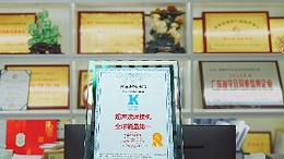 向下扎根的力量：靈科超聲波全鏈垂直整合，鑄就“全球銷冠”護城河