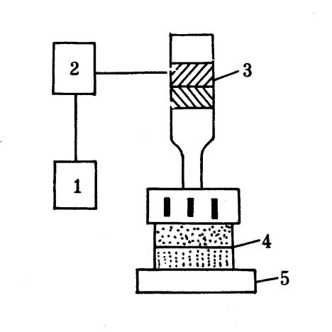 微信圖片_20250312104611