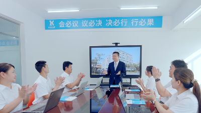 靈科超聲波：從代理到全球銷量<i style='color:red'>第一</i>的跨越之路